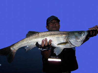 gmr76ayb6bw5g938s24t-2398571c.jpg