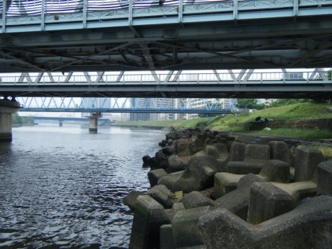 gmtxhrn2ubrbdohapds7_480_480-756c05b8.jpg
