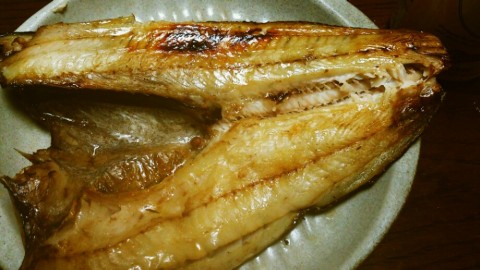 gmuaxtwocaiesugngtd4_920_518-4d47068c.jpg