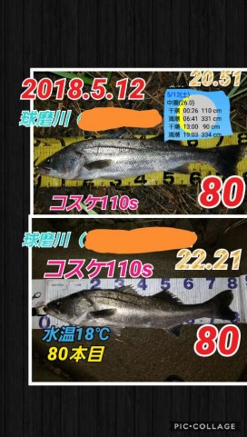 gn6xf9ubx9mai2kr8xpr_480_480-f3f22ad9.jpg
