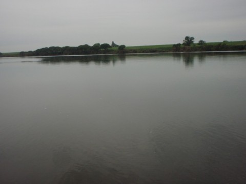 gncaisiejgb9vtvt2jg7_480_480-74b862ee.jpg