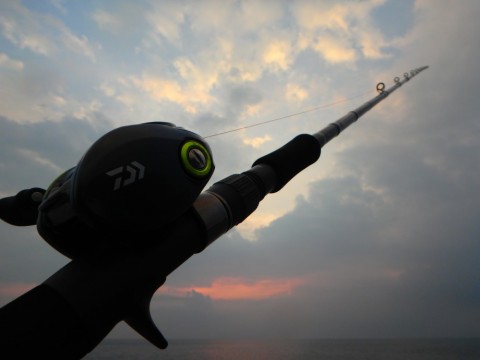 gnfizk67m3hvsu9dhhs7_480_480-5dbfff92.jpg