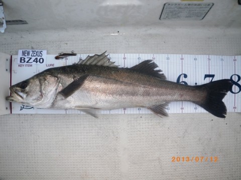 gnh5c3pyjakvrhsohwwm_480_480-d55aa0c7.jpg