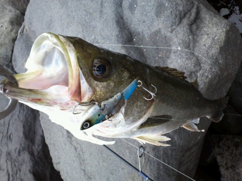 gnp5ouyikx9jt2fuajyz_920_690-94345658.jpg