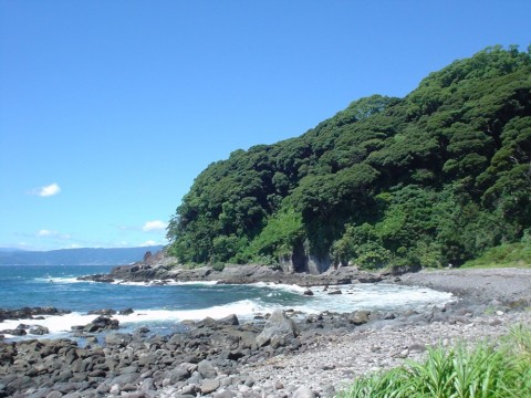 gnpiyagv3kt99pnygwj2_480_480-2d297c23.jpg