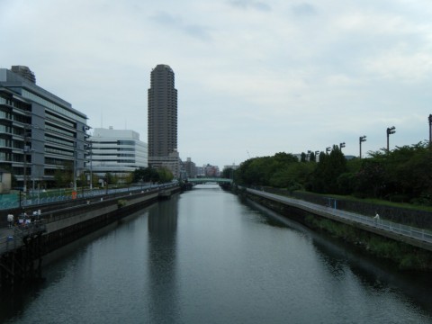 gntwmpc68u8e4ev68gvh_480_480-8be5ae2d.jpg
