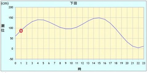 gob25ttt46cw5m6cxv7j_480_480-636cec31.jpg