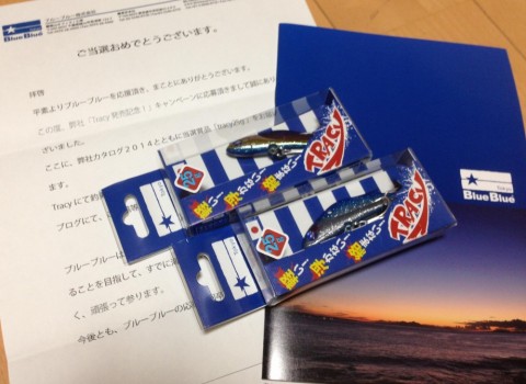 govamkxrsmdvxvdvycm8_480_480-f5621f55.jpg