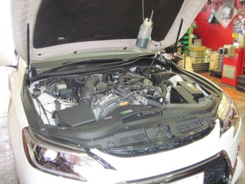 gp3n3tx5vfu8j2vsxxks_480_480-b5500ece.jpg