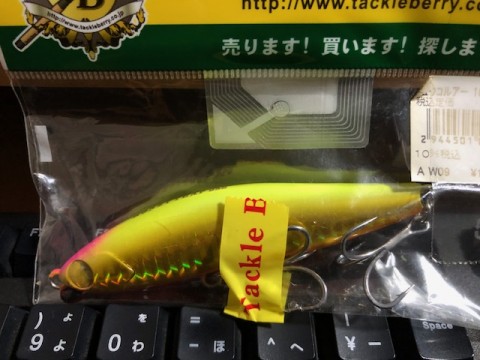 gp424y9gmx7frgd57dwn_480_480-2075fe78.jpg