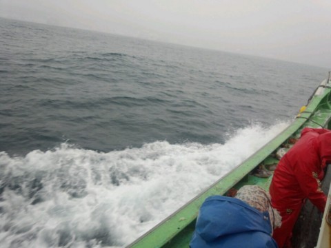 gp6oxfs2vkwj8nagfvig_920_690-9baf5ab9.jpg