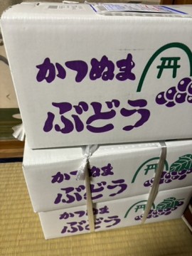 gpeukcucns8okkyu79cp_360_480-c36745d9.jpg