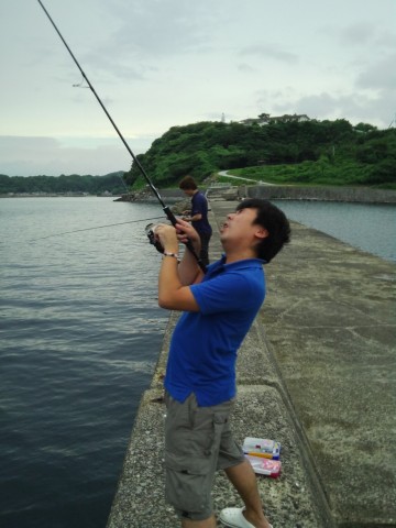 gpr29ai9j4r8wepckcxe_480_480-95988068.jpg