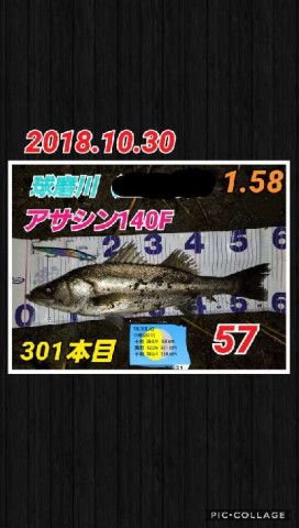 gpwdpe7b5hdgtx85mtxd_480_480-83969f74.jpg