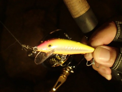 gpyk6wfod97ick387ugs_480_480-2980aef9.jpg