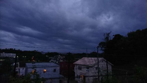 gr7x559xxkfn7xyuukha_480_480-68d0901c.jpg