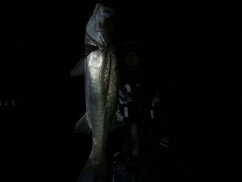 grdk799ddf9vfmfy57yr_480_480-21417ee2.jpg