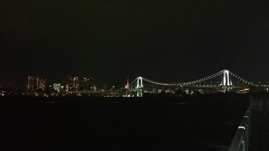 釣りってめっちゃ楽しいな 東京湾 お台場 シーバスゲーム 釣りってめっちゃ楽しいな 東京湾 お台場 シーバスゲーム