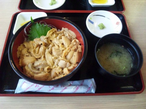 grpan22mhvme6h8jseon_480_480-d9175399.jpg