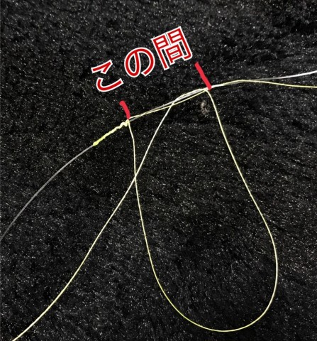 grpbt5ni9vvvix6gjs3i_480_480-16ccbbab.jpg