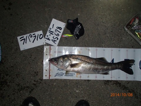 grrxp5ms72m7bk9mna6i_480_480-d2b55210.jpg