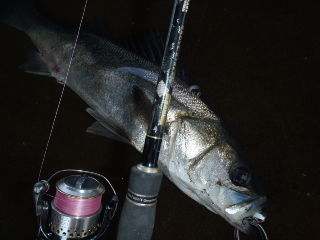 gs52w8zfuzmtmeam6smn-405f6596.jpg
