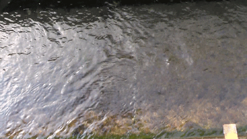 gs8erf6zpbnfess7ut6d-76f55112.gif