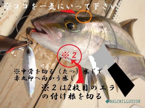 gsc8979sy8n8yy5ma76e_480_480-685dd9a3.jpg
