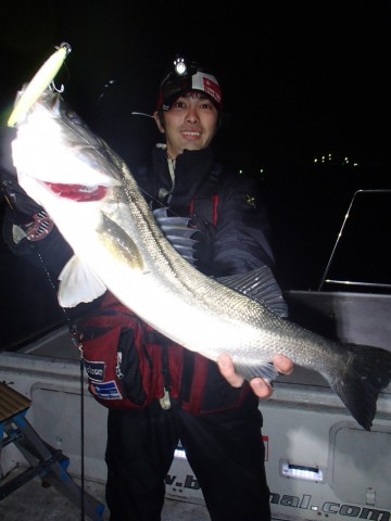 gscadosptmyoe9hkdkj8_480_480-932d734d.jpg