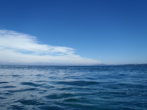 gsj65b7h3xme3ebiujme_480_480-540f0b92.jpg