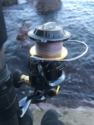 gspuhv6ko45zd5zbawpr_480_480-13f121fd.jpg