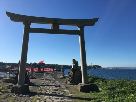gssp8bhdzogxtbfzzd85_480_480-c9d93d98.jpg