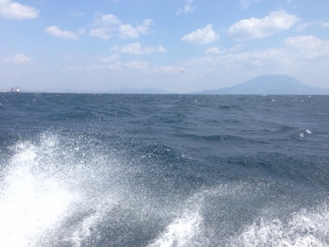 gsxkxe7ia3xc6pkfu3tr_920_690-87e66811.jpg