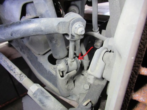gt453xbwu9pswtrybnui_480_480-79ea66b4.jpg