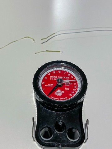 gt9nxnjobvtckk8c6sks_480_480-2bd30806.jpg
