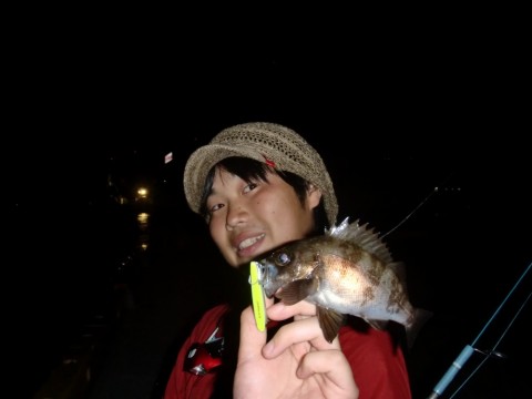 gtbk69yp3sj3kbxx26ex_480_480-2c8d787a.jpg