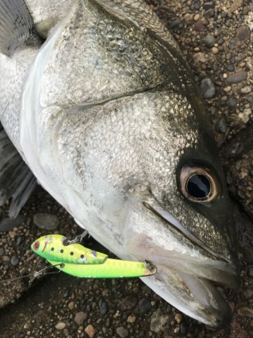 gtnxhomd69x39ckbstdg_690_920-97bf2877.jpg