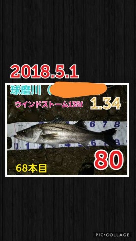 gtvd5jkztfgy2becfyfx_480_480-c08f3c44.jpg