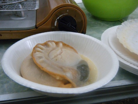 gu4b8twwxv298awp4sab_480_480-be9b29e2.jpg
