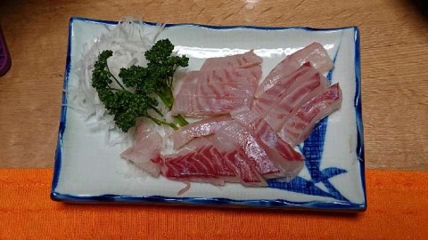 gufsmykifkyhxjr3c98i_480_480-62ae573d.jpg