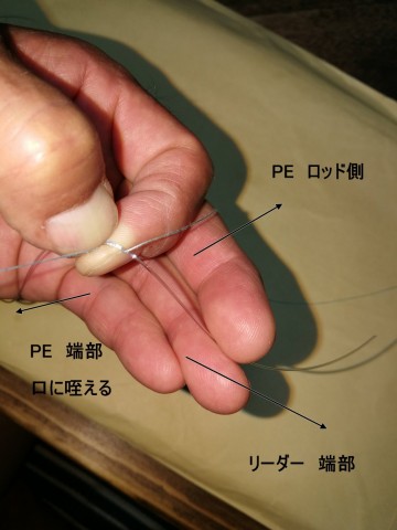 guivsd62zzs42mjfrunz_480_480-91e7f4aa.jpg