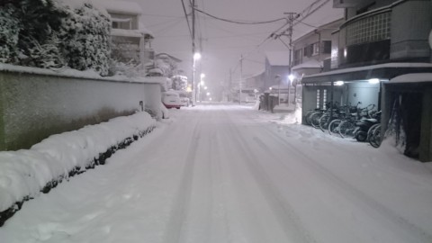 gup9sjs5b5zbyrxv47hy_480_480-a14f9ce8.jpg