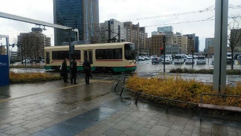 gusmm7bfaeertcwvxzbb_480_480-024460f7.jpg