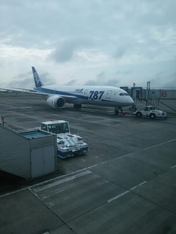 gv4tyiu5tihf3cwxdhsu_480_640-8be7c891.jpg