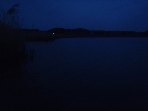 gvavo9r5b8xb2goobgvj_480_480-a45128bd.jpg