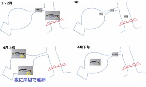 gvhjsm2xdwjk949pesh4_480_480-f03c463a.jpg