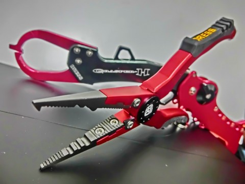 gvjjcbsi5c75sp7c7fhd_480_480-7c95dce4.jpg