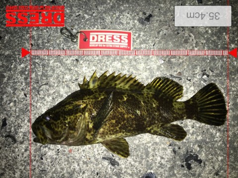 gvkkzzjmuwdf8b3f39bi-dca91bc1.jpg