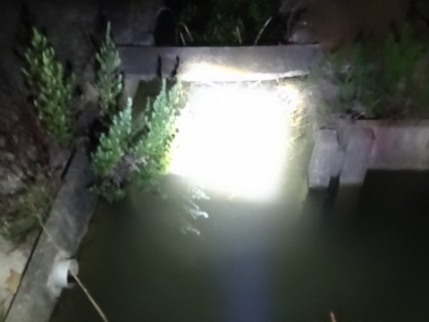 gvvpe54cdimduarwgvv7_480_480-7733a801.jpg