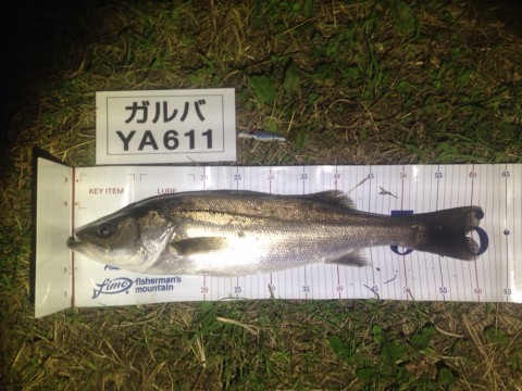 gvzyafzrtrgk7iu3au85_920_690-5948020f.jpg